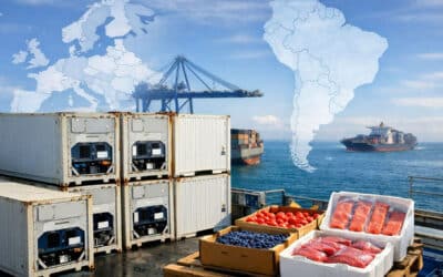 Transport chłodniczy do&nbsp;Ameryki Południowej – przewóz żywności i&nbsp;produktów wrażliwych