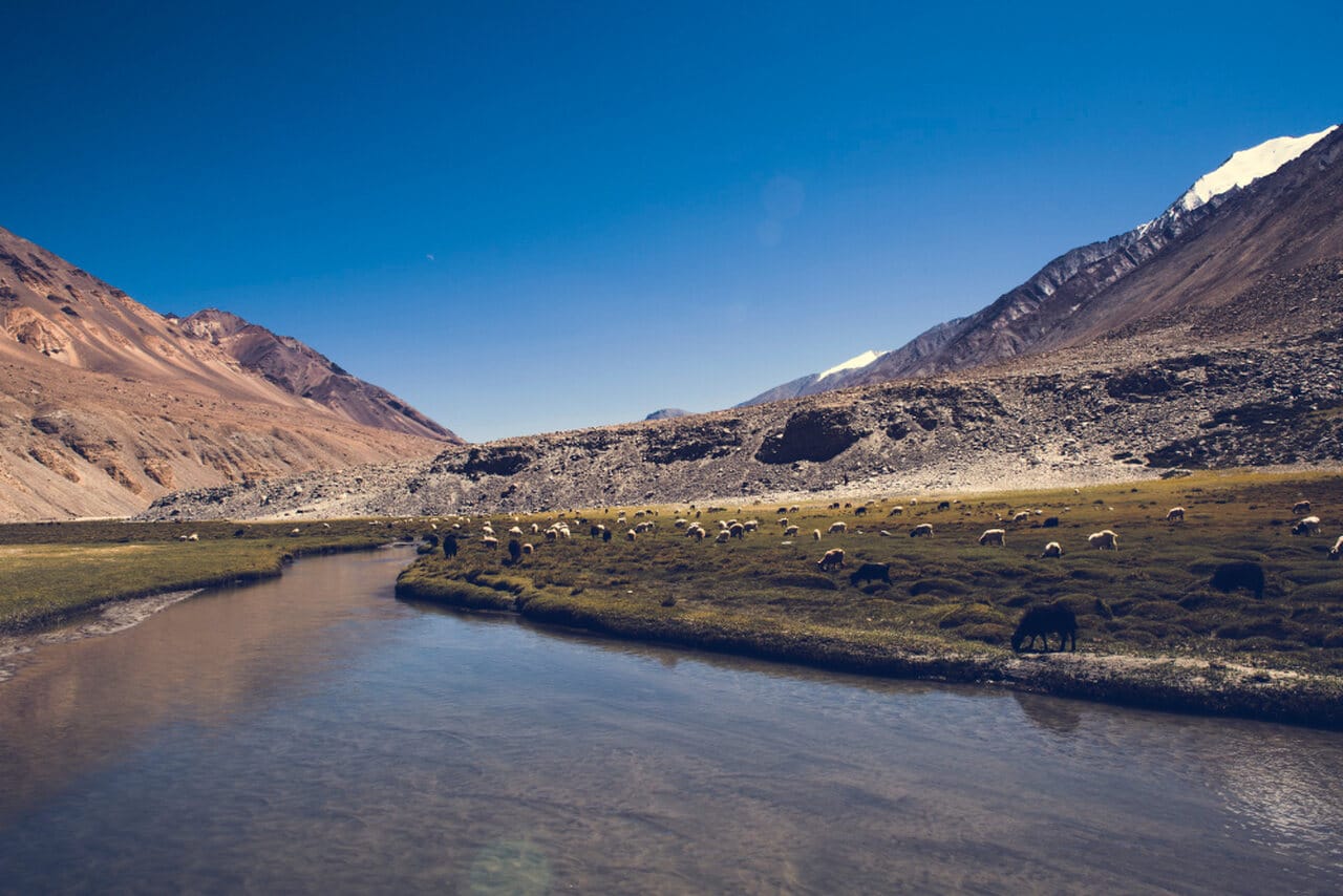 Pakistan